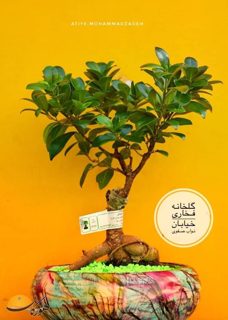 سازمان آگهیهای هورگان (اسفندماه ۱۴۰۰) سازمان آگهیهای هورگان (اسفندماه ۱۴۰۰)