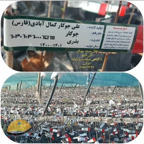 سازمان آگهیهای هورگان (اسفندماه ۱۴۰۰) سازمان آگهیهای هورگان (اسفندماه ۱۴۰۰)