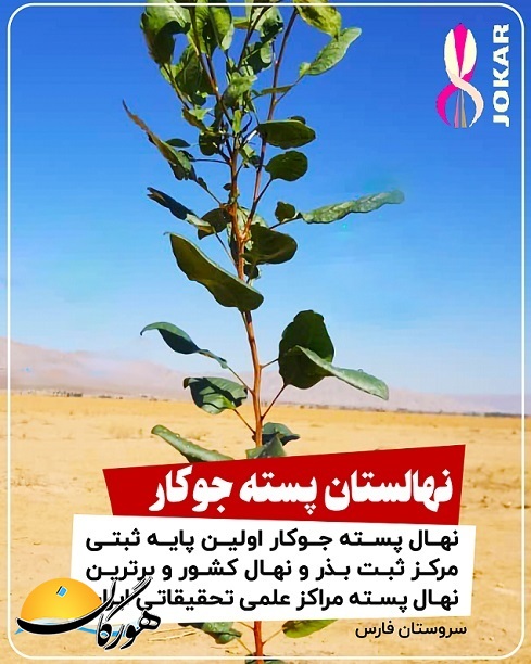 سازمان آگهیهای هورگان (اسفندماه ۱۴۰۰) سازمان آگهیهای هورگان (اسفندماه ۱۴۰۰)