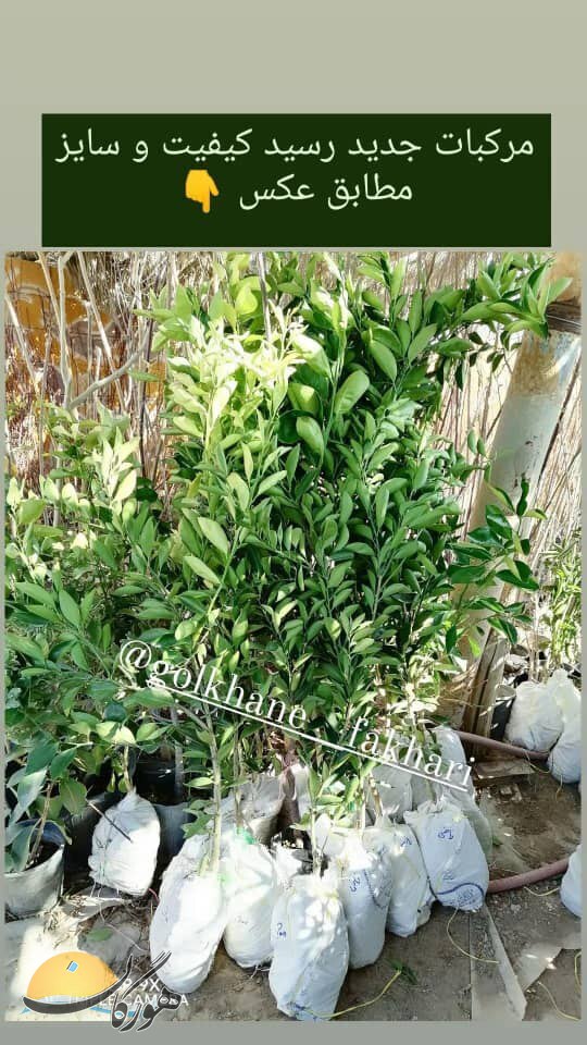 سازمان آگهیهای هورگان (فروردین 1401) سازمان آگهیهای هورگان (فروردین 1401)