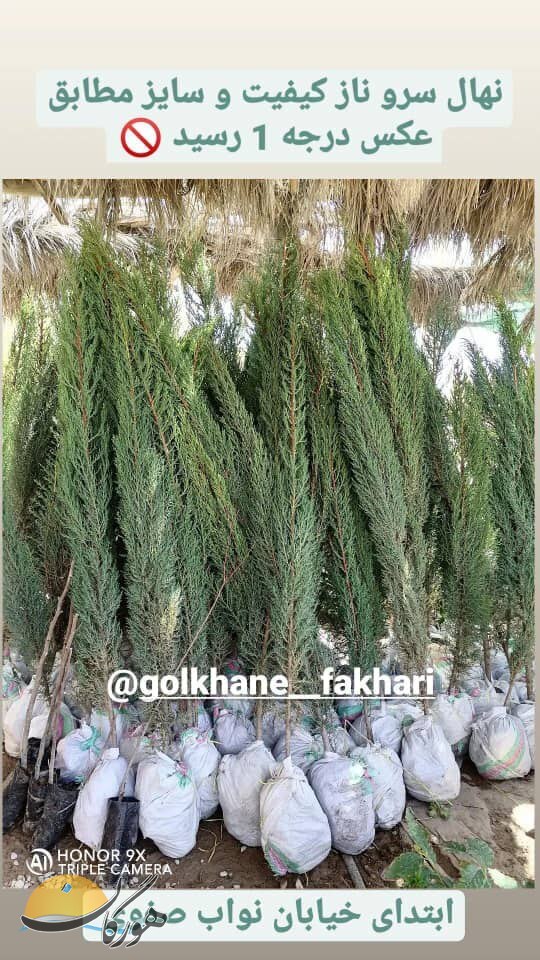 سازمان آگهیهای هورگان (فروردین 1401) سازمان آگهیهای هورگان (فروردین 1401)