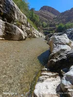 رودخانه پهنابه نی‌ریز