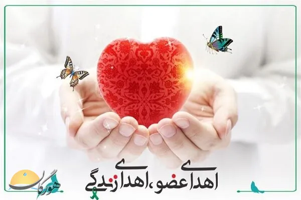 اعضای بدن 