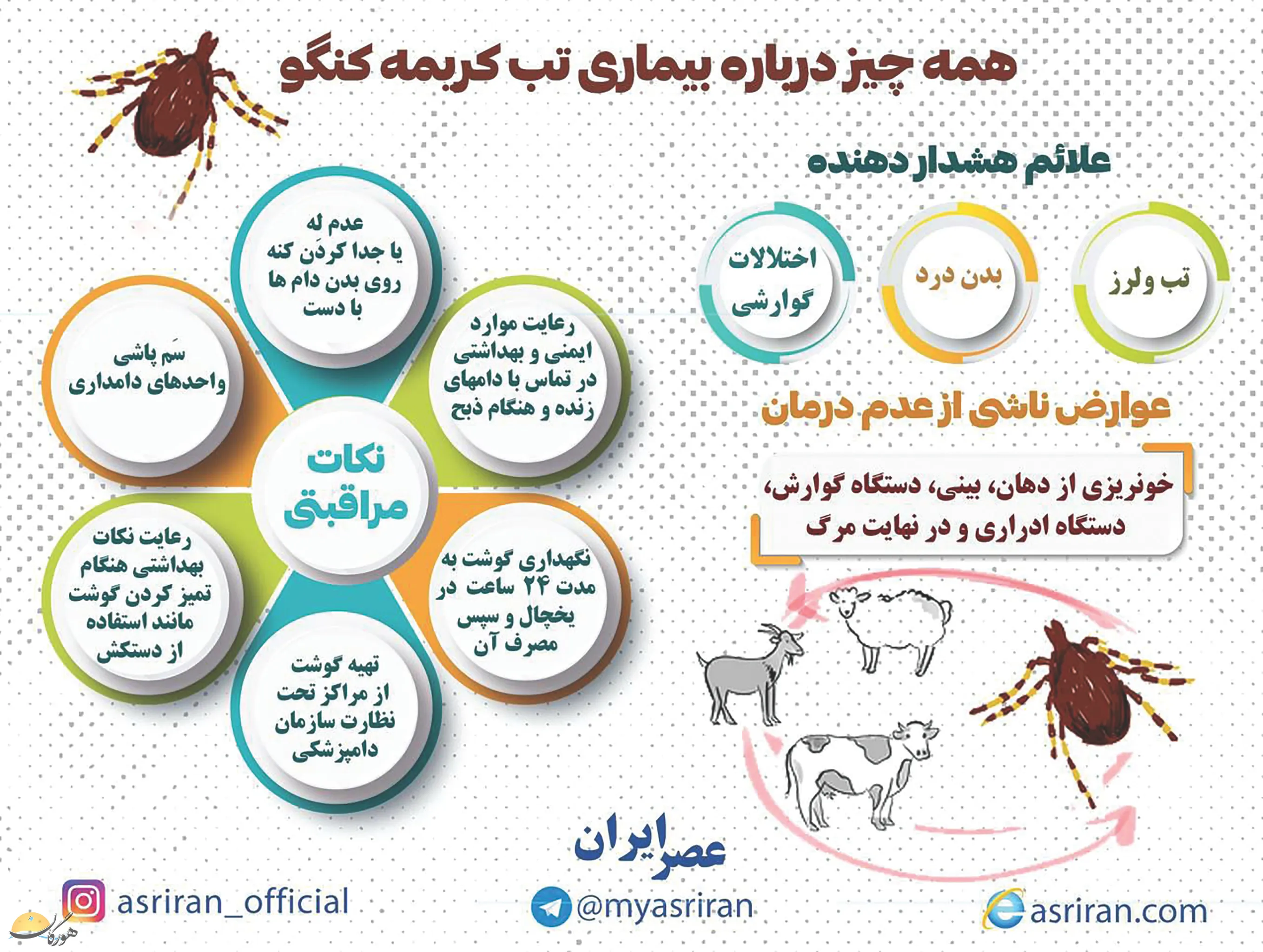 تب کریمه کنگو