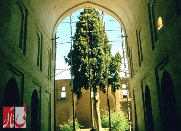 مسجد جامع کبیر نی&zwnj;ریز از نمای دوربین یک جهانگرد اروپایی